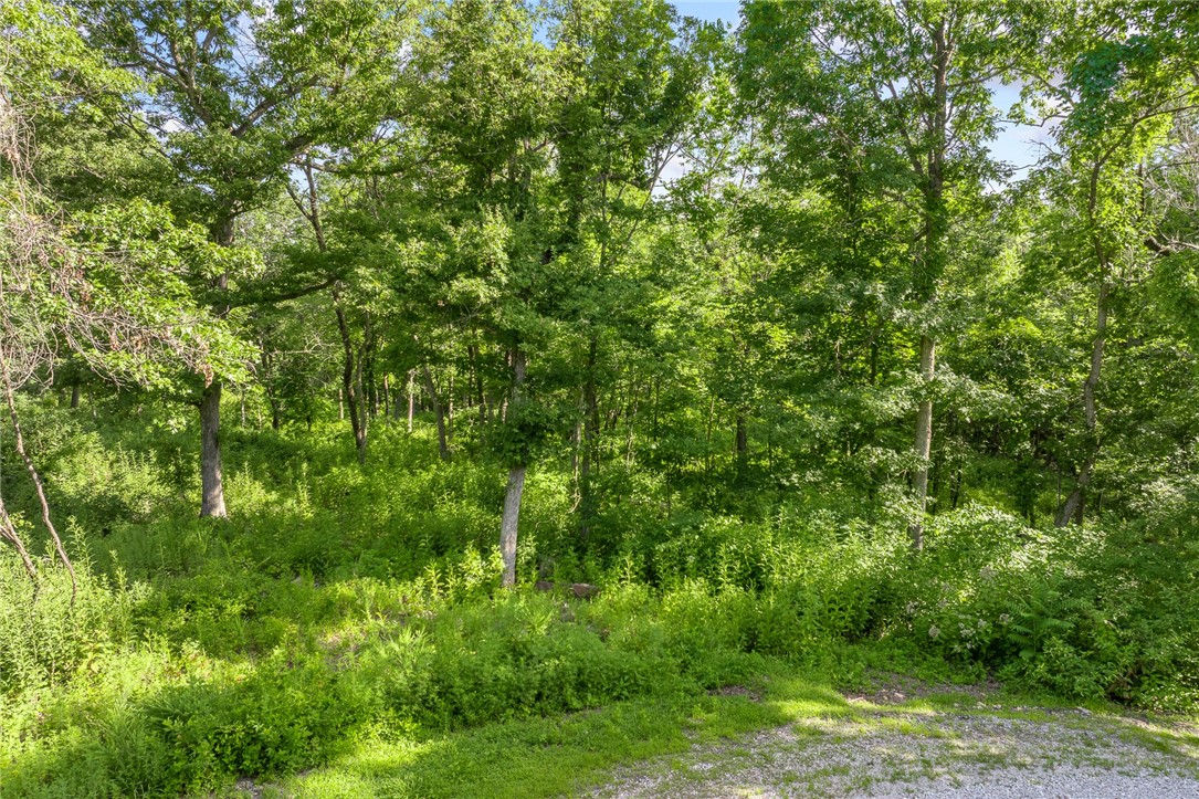 Round Mountain Estates - Land
