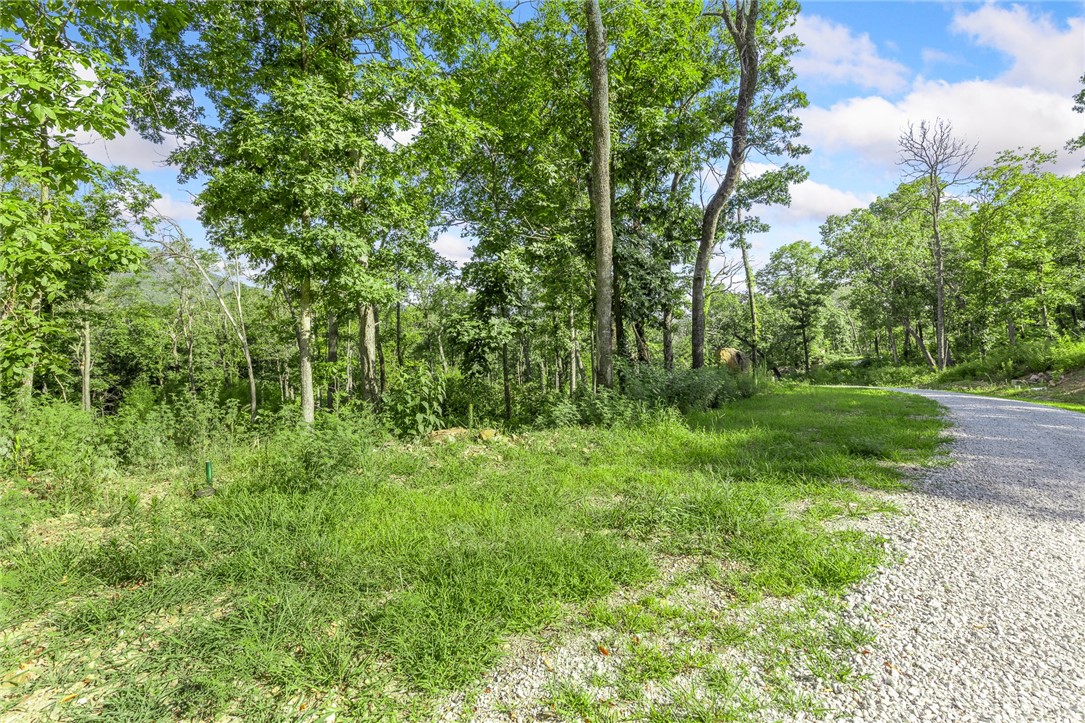 Round Mountain Estates - Land