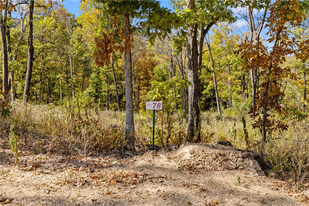 Welcome to Lot 78 (1.60 m/l ac) in Round Mountain Estates! The trail head for Kissing Rock is very close to this lot! The lot has views of Tucker Cove, the mountain range to the west, wildlife and back up to beautiful hardwoods and a seasonal creek. RME is a new, master planned, exclusive subdivision located 10 minutes west of Harrison, AR. The following utilities are already on site making the building process much easier for you; natural gas, fiber optic internet, electric, public water, and sewer. Interested in your family seeing the star lights instead of those city lights? RME is what you've been searching for! RME features a 350 +/- acre common area for its residents that includes a stocked fishing pond, Kissing Rock trail, natural springs to explore, Baby Canyon trail, incredible bluff lines to climb, and views for hundreds of miles that will not only take your breath away but will forever be etched in your memory! Neighborhood amenities coming soon.
