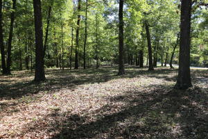 Superior wooded lot on pavement only one mile outside of Harrison city limits. Excellent building sites and large trees. Deer and turkey frequently on the property. Surrounded by large tracts of land. Could be subdivided.