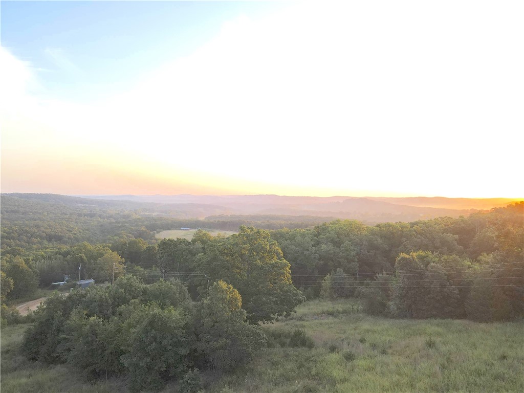 This remarkable property offers unparalleled panoramic views and is equipped with ready-to-use utilities. Featuring two gated entrances and over 400 yards of county road frontage with minimal traffic, the well-maintained access road leads to a charming hunting cabin that boasts breathtaking vistas of the Ozark mountains. With high-speed fiber internet, electricity, rural water, a newly installed septic system capable of supporting multiple homes and a new 500 gallon propane tank, the site is primed for development. Additionally, five newly added outdoor freeze-proof spigots enhance its functionality. The landscape is a perfect blend of open fields and towering timber, providing ample opportunities to enjoy nature and observe wildlife. Well-kept trails meander through the property, guiding you to two hay barns and an old cellar. As you explore the wooded areas, you'll discover several seasonal creeks and stunning rock formations. This property is brimming with potential, offering a wealth of opportunities.