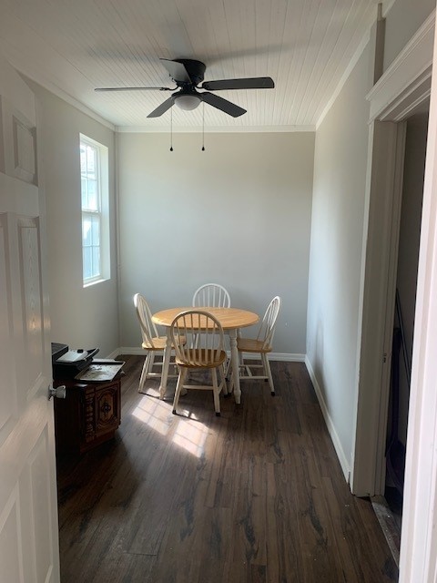 Fitzgerald - Residential