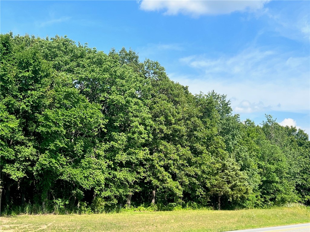 Beautiful 3.38 wooded acres, only 2 miles from John Brown University and to downtown Siloam Springs! Perfect place to build your dream home with the best of both worlds, just outside city limits, with lots of elbow room, on pavement! Driveway permit already issued by the Arkansas Highway Department. See attached. Newer homes on each side of the property. Also, just minutes to the boat ramp at Swepco lake.