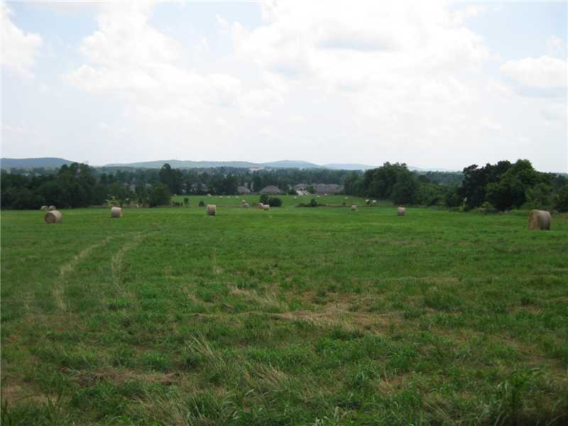 Fantastic 68 acres (MOL) with spectacular views and 100 year old 4 BR, 3 BA, two-story farmhouse. This property is ideal for your dream home (or homes) or for development. Extremely unique and beautiful! Convenient to everywhere and surrounded by beautiful homes! 2007 survey on file. See MLS 674973 for Res.