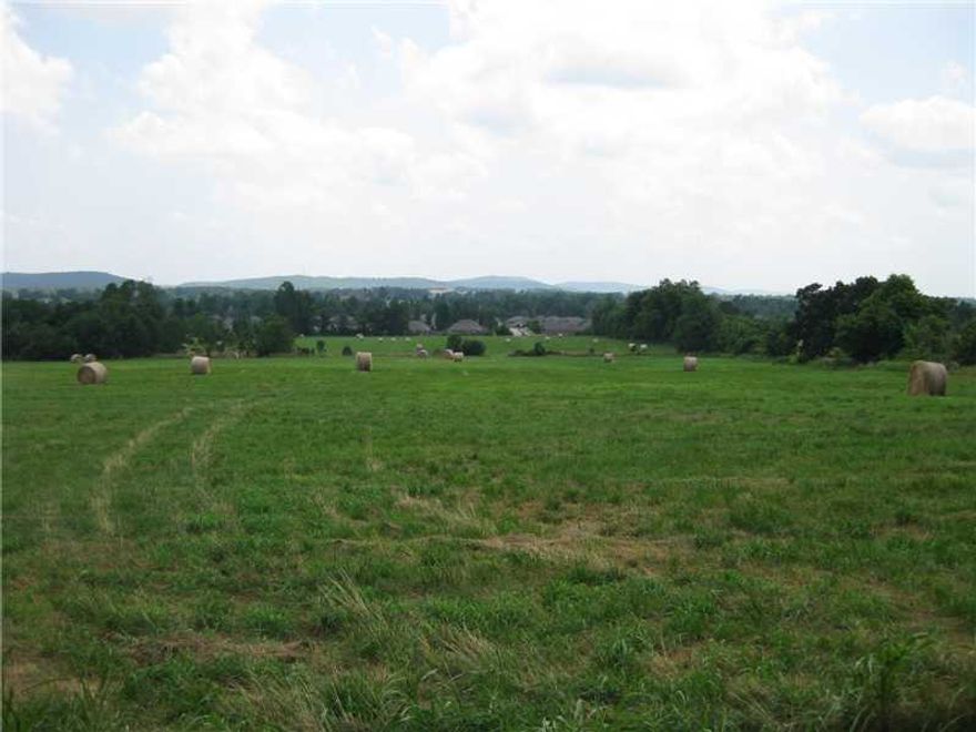 Fantastic 68 acres (MOL) with spectacular views and 100 year old 4 BR, 3 BA, two-story farmhouse. This property is ideal for your dream home (or homes) or for development. Extremely unique and beautiful! Convenient to everywhere and surrounded by beautiful homes!  2007 survey on file. See MLS 674973 for Res.