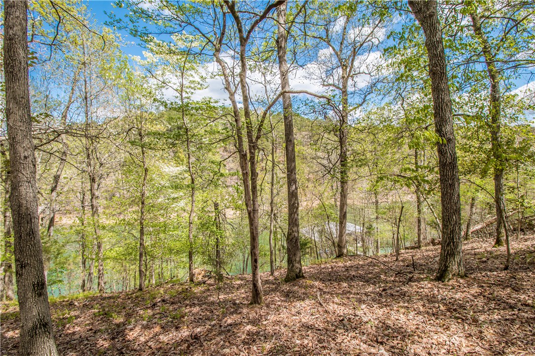 Point Falls Hollow, The Rurban - Residential