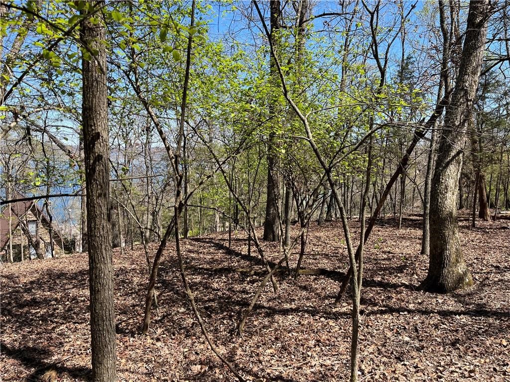 Lost Bridge Village - Land