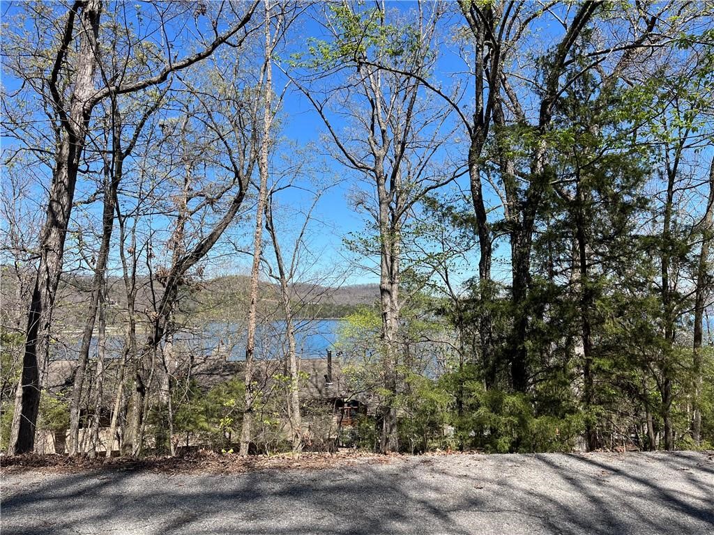 Lost Bridge Village lot with seasonal Beaver Lake views! The topography is slightly sloping with nice "flatter" option for home building. Sewer and water available at the street! Situated out of "town" yet still allowing for easy access to Bentonville/Rogers or Eureka Springs. Embrace lake life with access to boat ramps, swimming areas, and Lost Bridge Marina. Village amenities include a swimming pool, clubhouse, tennis court, library, and even an air strip. (Hwy 62 to Hwy 127 to right on Dogwood. Lots will be on the right past 11723 Dogwood and before the Lakeview/Dogwood road split.)