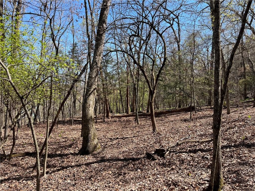 Lost Bridge Village - Land