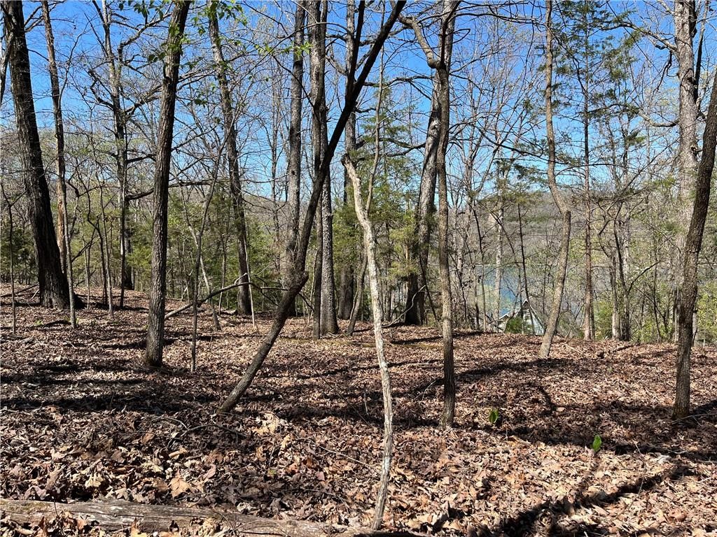 Lost Bridge Village - Land