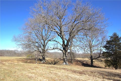 Agriculture in Pea Ridge AR 699 Gates Lane 29.jpg