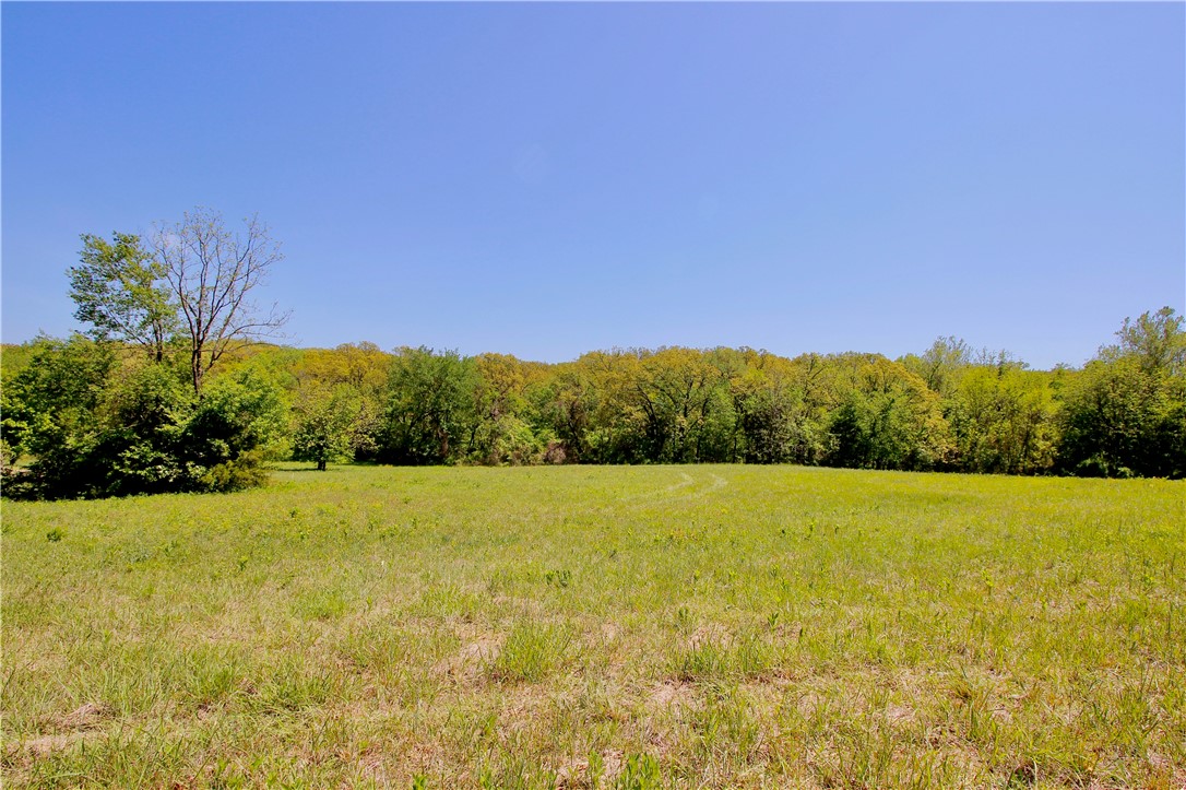 Berryville Outlots - Land