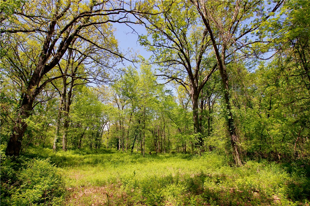 Berryville Outlots - Land