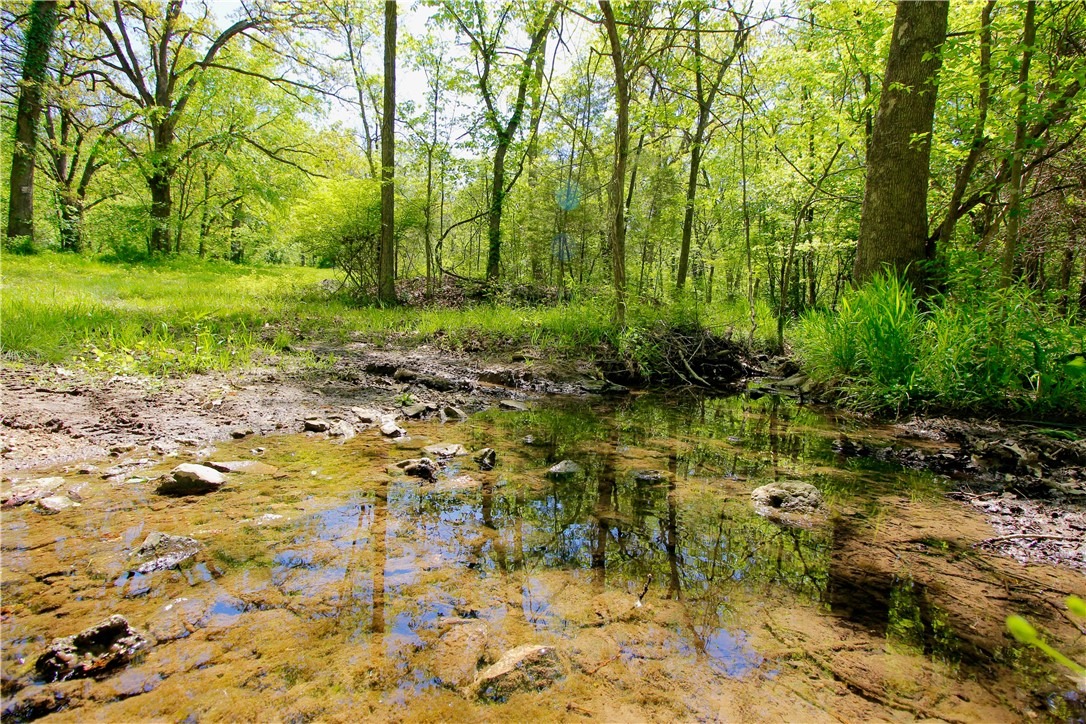 Berryville Outlots - Land