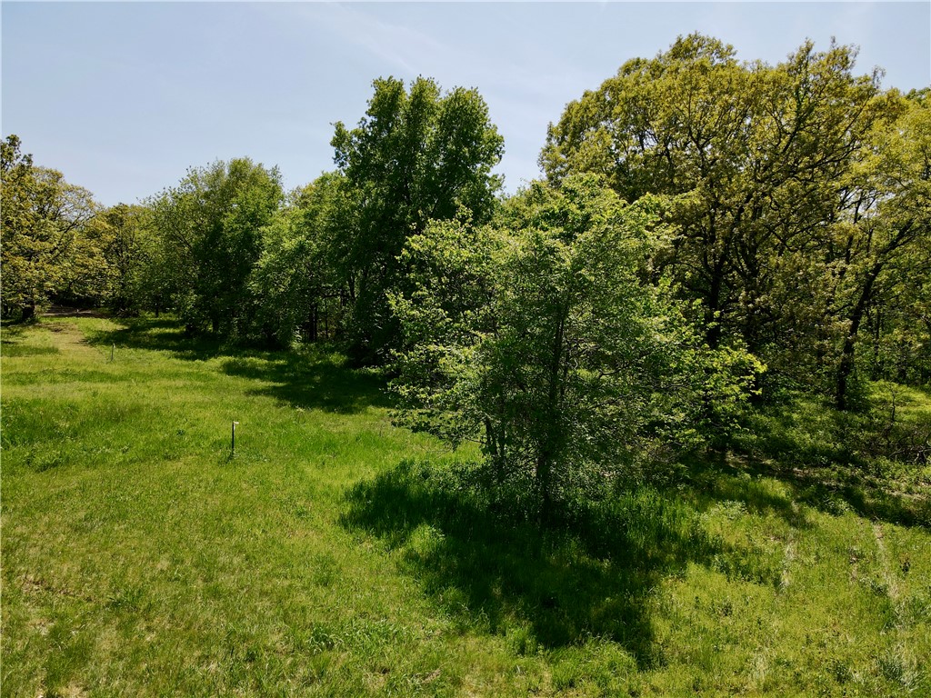 Berryville Outlots - Land