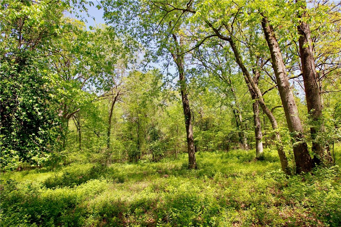 Berryville Outlots - Land