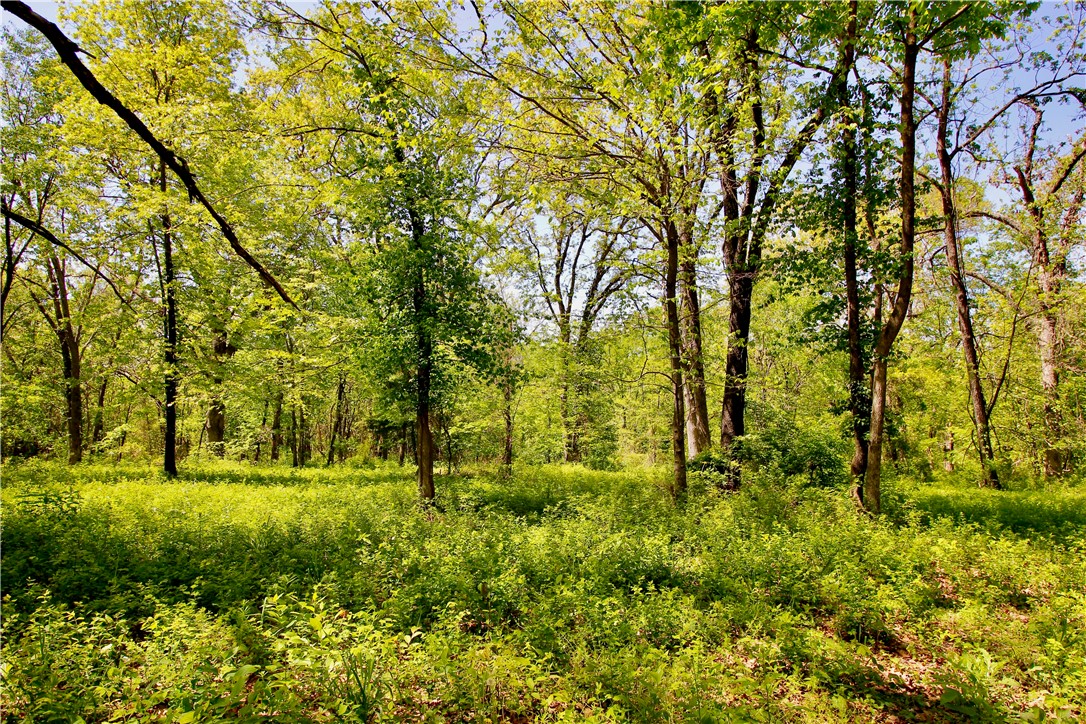 Berryville Outlots - Land