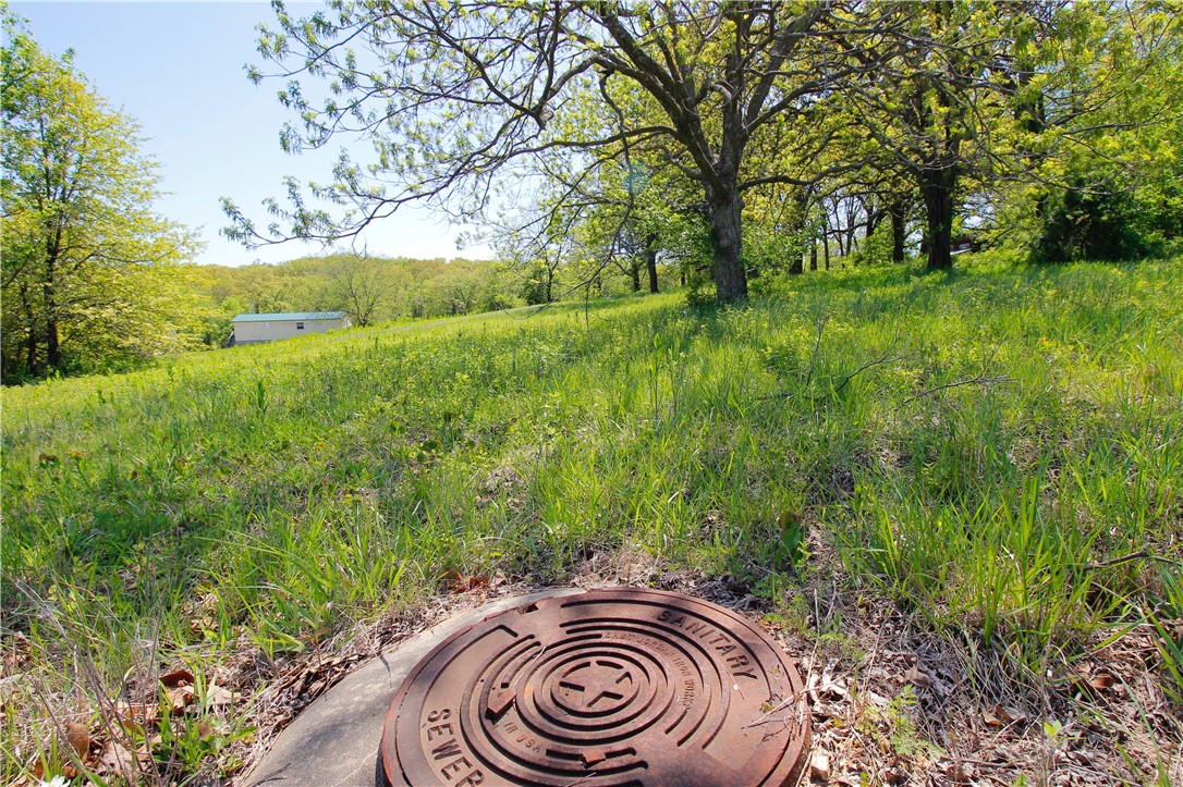 Berryville Outlots - Land