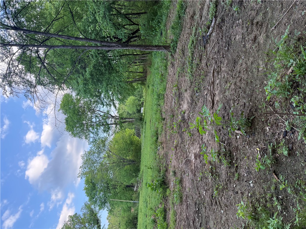 Townsite Add Ola - Land