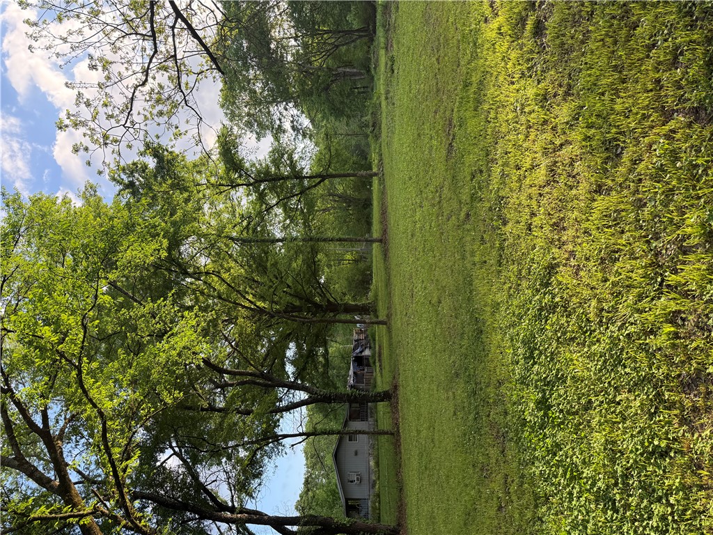 Townsite Add Ola - Land