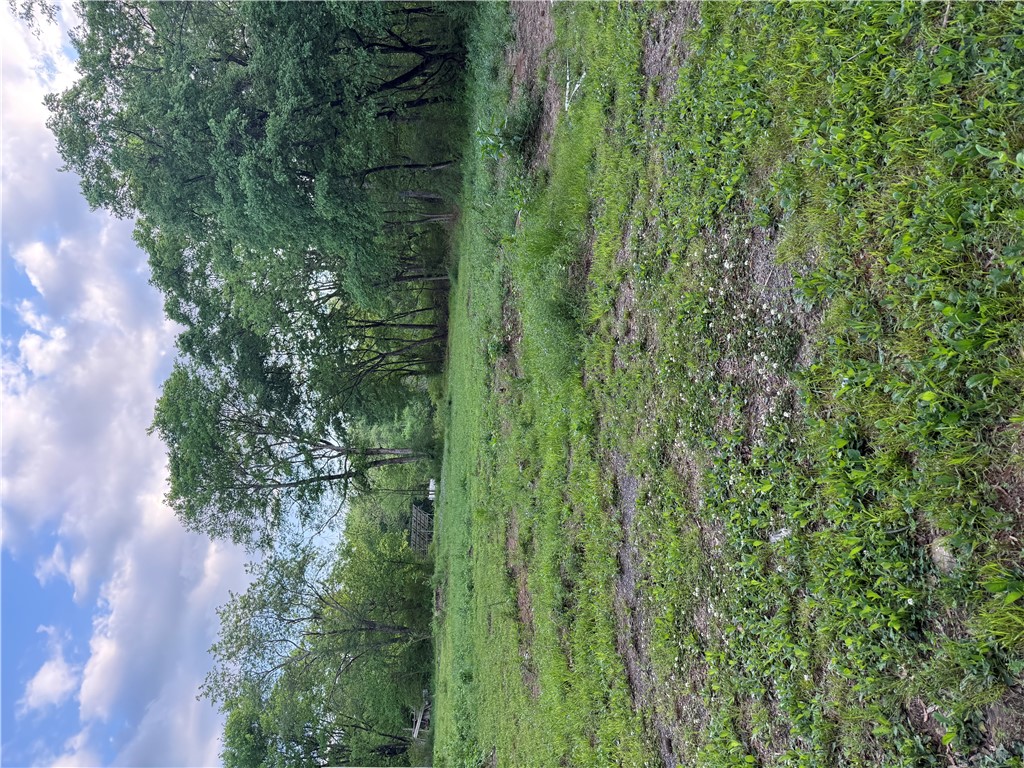 Townsite Add Ola - Land