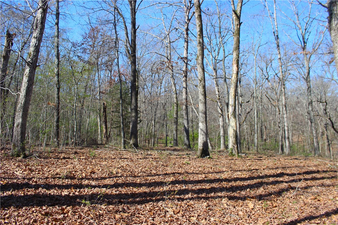 Bridlewood Sub Ph I - Residential