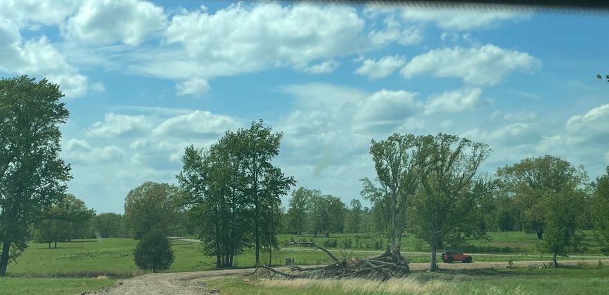 Discover your own slice of Arkansas paradise on 19.70 acres in Hector. This property offers privacy, and endless possibilities. Ideal for a dream home, or recreational escape, you’ll appreciate the peaceful setting while still being just a short drive from town amenities. Rural living at its finest.