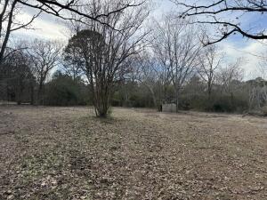 An acre of land on West side of town just waiting for you to build your home! Has well on property.