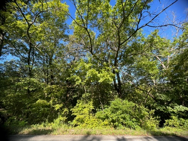 Beautiful lot with lots of potential, with a little clearing you can have gorgeous views! Plenty of wildlife for a rural feel but close to Eureka Springs. 2 Golf courses, country club, recreation center, swimming pool, park, tennis courts, ball field, marina and fishing dock, to name a few amenities. Don't let an opportunity like this pass you by!