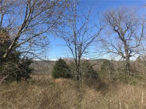 Wonderful buildable lot near Keels Creek vineyards. The Hills of Keels Creek offers a desirable rural location with beautiful views, nice homes and underground utilities, while still offering easy access to town.