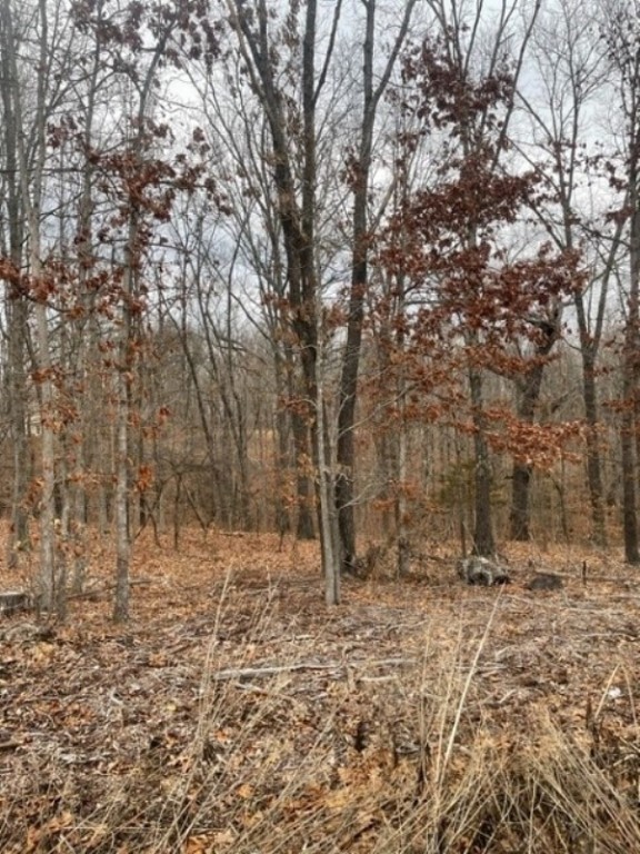 Beautiful, wooded lot sloping to common property. This buildable property has water and electric at the street. The lot is on the west side of Bella Vista near the Highlands Golf Course and Clubhouse, the Bella Vista Shooting Range, and the Highlands Gun Range.