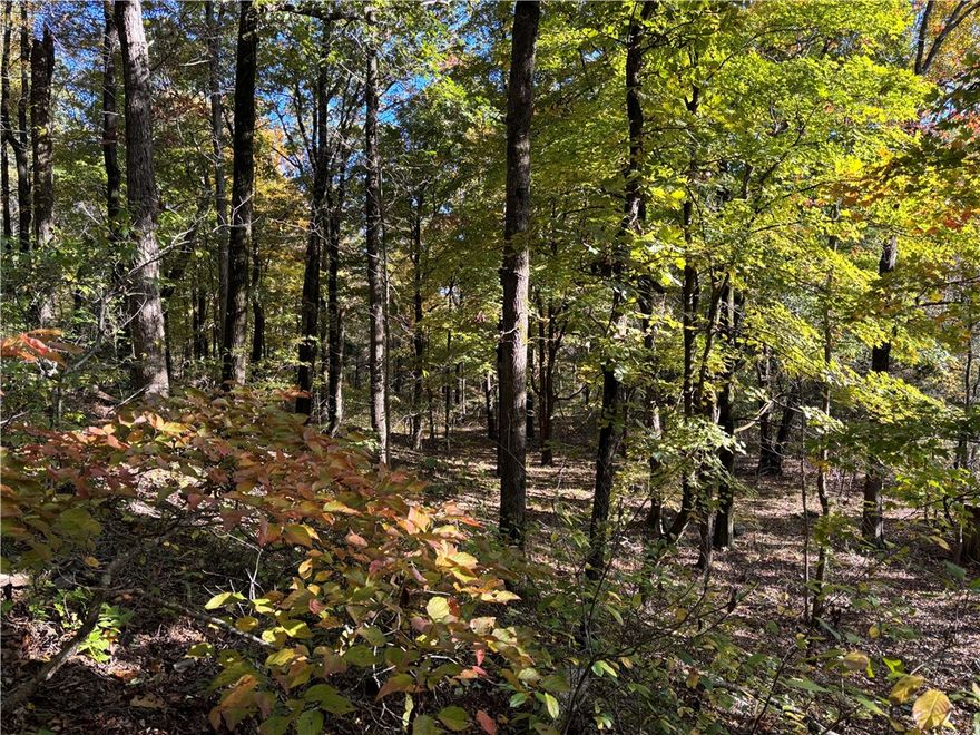 Looking for your own piece of the Ozarks? This 10 acre property has the privacy and peacefulness of country living with ease of access to pavement and the necessities. The land is rolling terrain, mostly wooded with large timber, pond, nice views, open ground at the site of former homestead. Great opportunity for weekend getaway or primary home. Beautiful area for outdoor recreation, near trails and national forest. Electric/OzarksGo internet, rural water at the road, existing well unsure of condition. Less than 1 mile to pavement, 25 minutes to Elkins, 35 minutes to Fayetteville. Call to take a look today!  Utility availability is the responsibility of the buyer or buyer's agent.