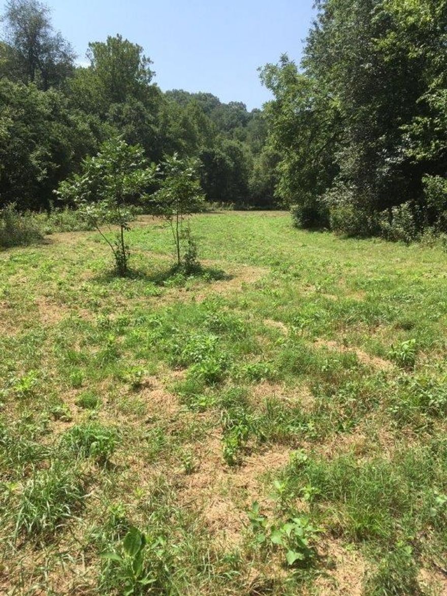 Amazing parcel of land that backs up to Talamore, near Versailles & Angel Falls.  Development potential. Some tree covered hills, some mostly cleared valley, a stream, and cleared spots on hills. Minutes from Downtown Bentonville, but is a country setting. Just minutes from the Bentonville Square and all Bentonville has to offer! Utilities at street.  Partial fence. This is first time on market for this land!  Make offers.  This will not last long!