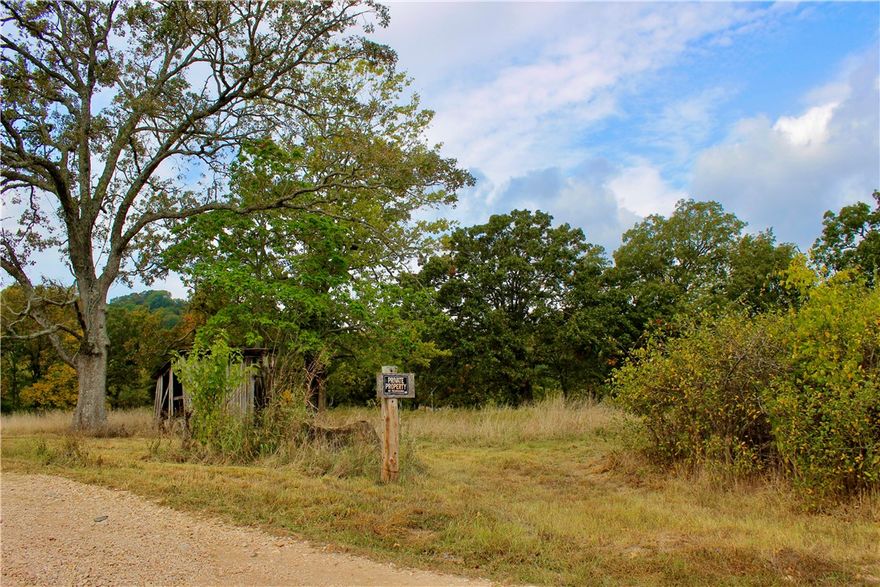 This property is 5.83+- acre parcel and is full of potential! With several level spots for building .
There is some open pasture, woods for privacy. Electric is at the highway. The location is close to
Eureka Springs 17 minutes and Holiday Island 9 minutes to everything you need. Table Rock lake is near by along with parks and trails around the area. Highway frontage don't miss the chance for a piece of property with lots of possibilities.