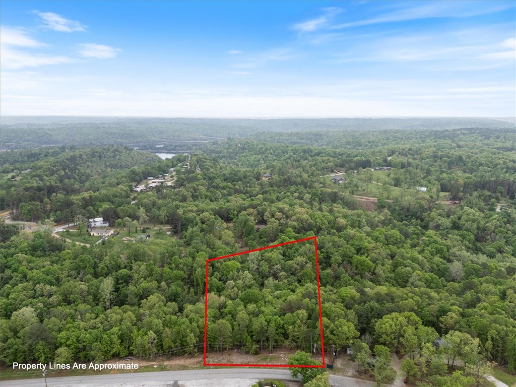 Tanglewood Resort 1 Rurban - Land