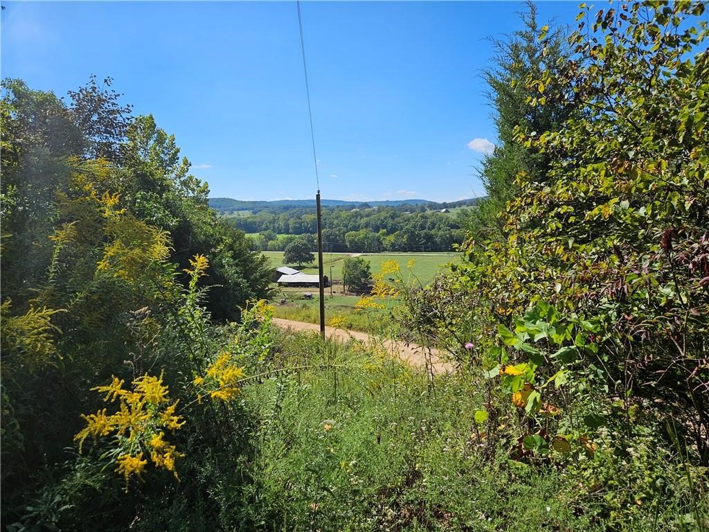 10 acres with great location, a wonderful view and no restrictions! Just off of Highway 21 North of Kingston this property has rural water and fiber optic across the county road and an overhead electric service line already on the property. Whether it's a dream home or a get-away cabin the view of the Kings River valley will be a sight for sore eyes wanting to get out of the city. Property is wooded so you can clear what you want and leave the rest to give yourself lots of privacy. Good cell phone service and it also has a couple of springs on it. This property checks both boxes, country living with a convenient location.