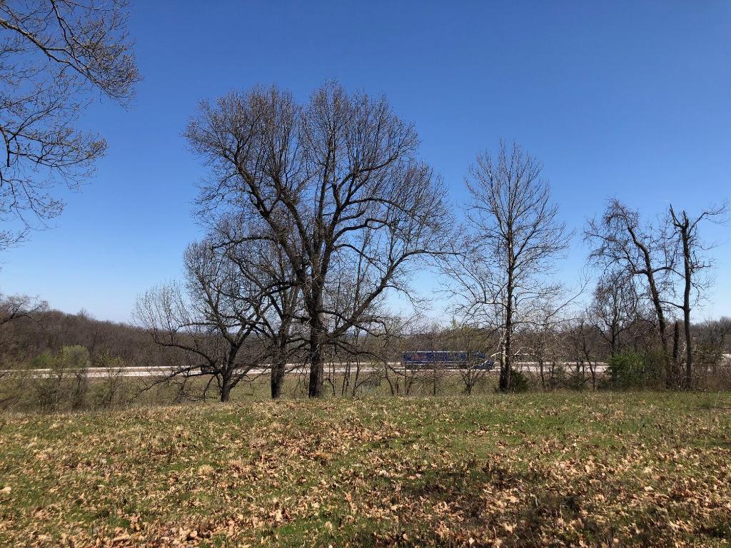 Great location between Harrison and Branson for that next commercial venture. Pretty mix of pasture and trees. Fronts Hwy 65 North and Burlington Loop with good visibility from both streets. SWBC water is on the south side of Burlington Loop. Lots of opportunity!