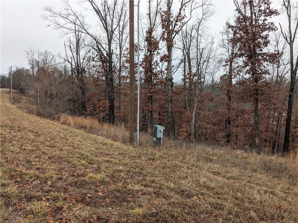 Large lot on Trafalgar Rd