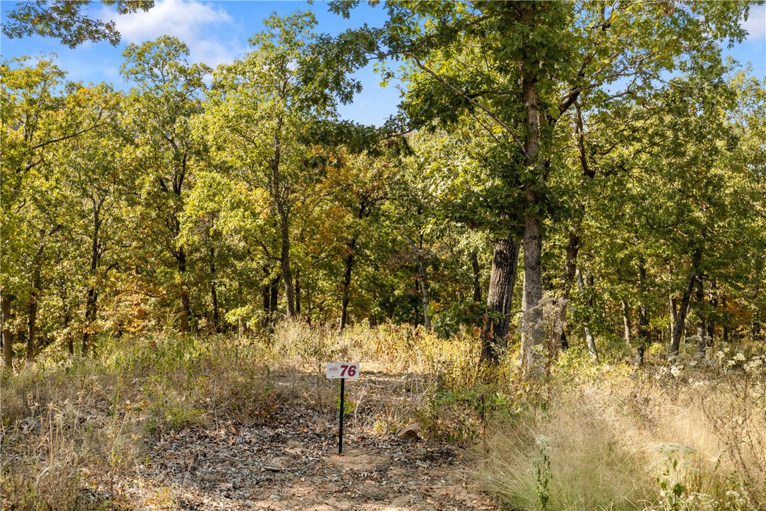 Welcome to Lot 76 (0.90 m/l ac) in Round Mountain Estates! This lot is partially wooded and ready for your dream home to be built on. Featuring westerly views, a level bench and rock features that are unforgettable! RME is a new, master planned, exclusive subdivision located 10 minutes west of Harrison, AR. The following utilities are already on site making the building process much easier for you; natural gas, fiber optic internet, electric, public water, and sewer. Interested in your family seeing the star lights instead of those city lights? RME is what you've been searching for! RME features a 350 +/- acre common area for its residents that includes a stocked fishing pond, Kissing Rock trail, natural springs to explore, Baby Canyon trail, incredible bluff lines to climb, and views for hundreds of miles that will not only take your breath away but will forever be etched in your memory! Neighborhood amenities coming soon.