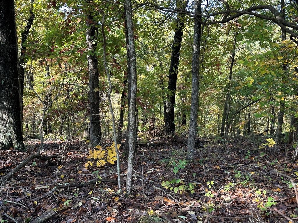 Northampton Sub Bvv - Land