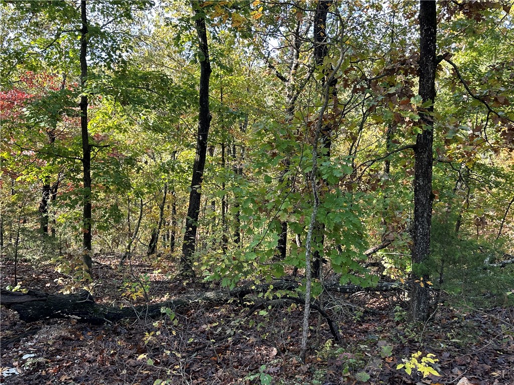 Northampton Sub Bvv - Land