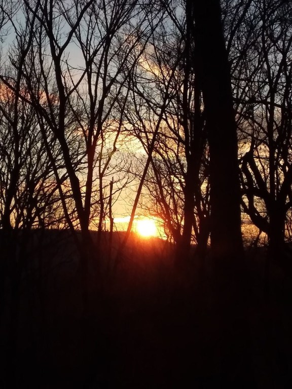 Sunset views will warm your heart during the Winter season and gentle southern breezes will keep you cool in the Summer when you build your home on this south facing lot. A water tap is included and city sewer is available. Keep it simple and real for your budget also at this affordable price.