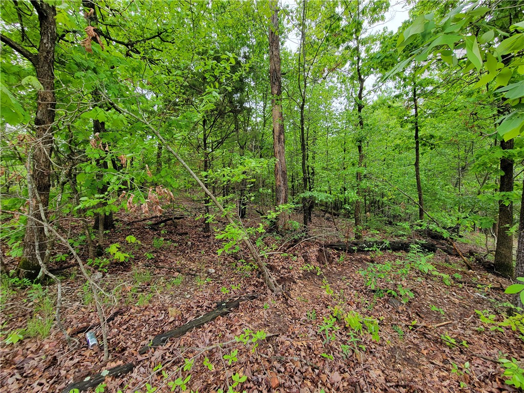 Harrington Sub Bvv - Land