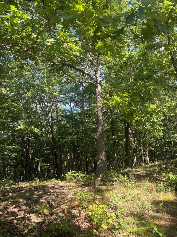 Tract A 3491 Madison 5440