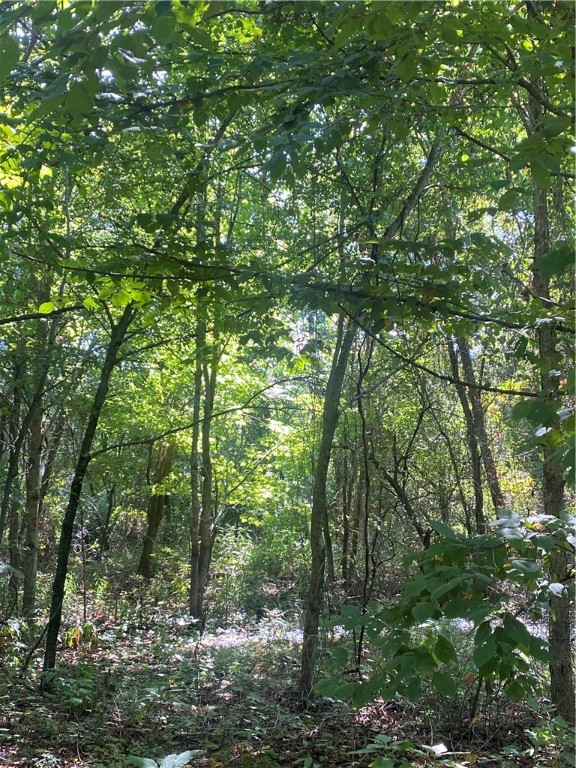 Tract A 3491 Madison 5440