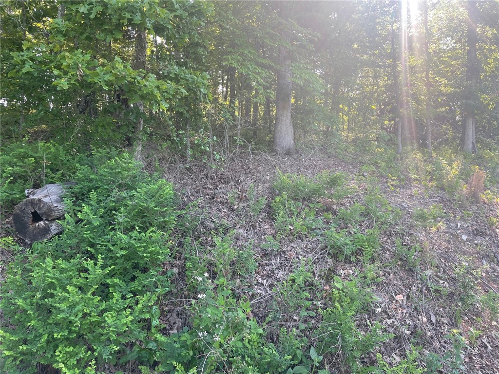 Jura Sub Bvv - Land