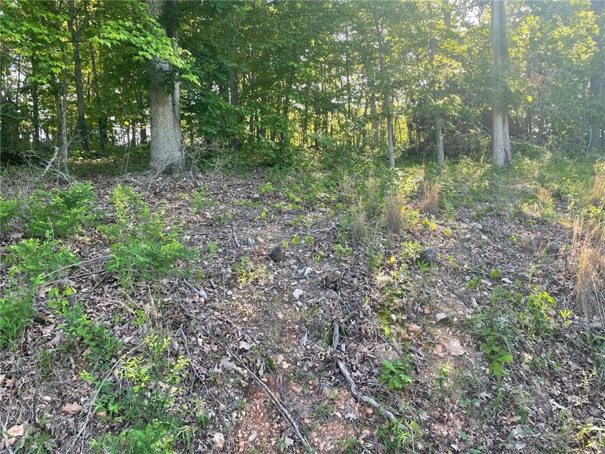 Nice buildable lot close to Branchwood Recreation Center, Highlands Golf, the top of the hill is on the front about 1.3 rd of lot and then gentle slop to the back of the lot. Lots of new homes in this area.

The Lot next to this lot to the left is also for sale for $24,000. with same listing agent, MLS number of 1309923. Together the size would be 0.57 of an acre, which would probably allow for a larger footprint of a house and garage,