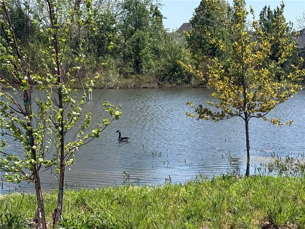 Blossom Woods Ph II Rogers - Residential