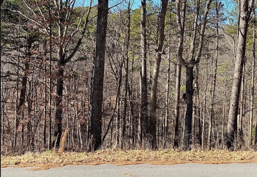 **PENDING BEFORE PRINT.**Great opportunity to own a lot on Camborne Drive in Bella Vista! This property offers a peaceful setting surrounded by the natural beauty of the Ozarks, with plenty of room to build your dream home, vacation retreat, or investment property. Conveniently located near bike trails, golf courses, lakes, and all the fantastic amenities Bella Vista provides, this lot combines both recreation and relaxation. Don’t miss the chance to make it yours!