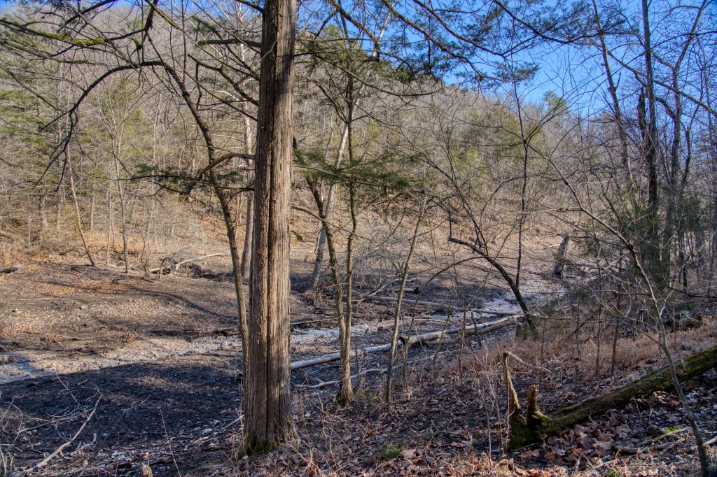 Bluewater Cove - Land